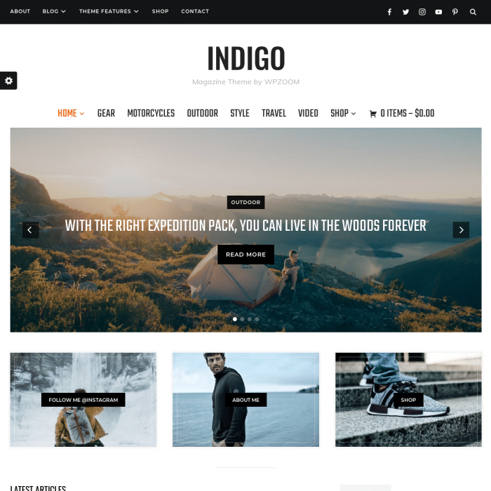 download weathersnoop indigo plugin