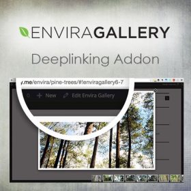 Envira Gallery – Deeplinking Addon 1.5.3