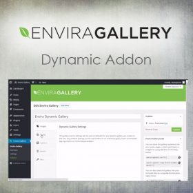 Envira Gallery – Dynamic Addon 1.6.7