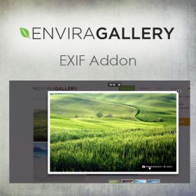 Envira Gallery – EXIF Addon 1.6.0