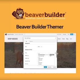 Beaver Themer for Beaver Builder 1.5.0.2
