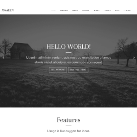ZigZagPress Awaken Genesis Child WordPress Theme 1.2.6