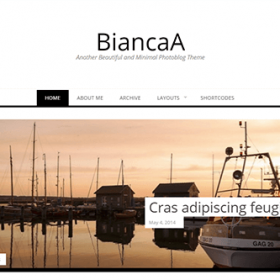 Theme Junkie BiancaA Theme 1.0.6