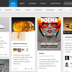 Theme Junkie Pinable Theme 1.0.5